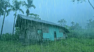 Heavy Rain at an Abandoned Shack 🌧️ Relaxing Rain Sounds for Sleep