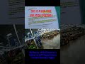 Walmart Harassment Innocent Citizen, Alarm Triggered Bodycam. 911 Call Camillus Police