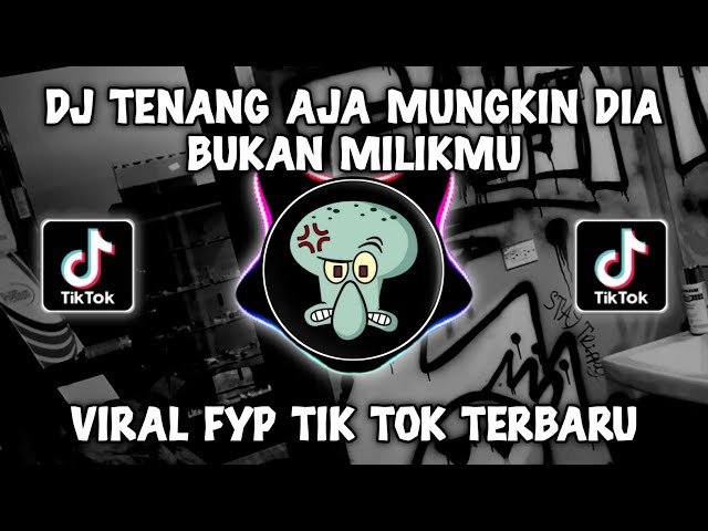 DJ TENANG AJA MUNGKIN DIA BUKAN MILIKMU HAPPY TEAM VIRAL TIKTOK 2024 class=