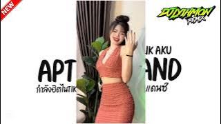 #กำลังฮิตไนtiktok_#เพลงแดนซ์2025(APT THAILAND X CULIK AKU) _V.แดนซ์ตื๊ดๆ | LYIH MON REMIX V2