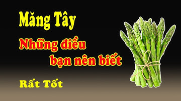 Măng tây có tác dụng gì với sức khỏe - tổng hợp 17 công dụng tuyệt vời từ nó