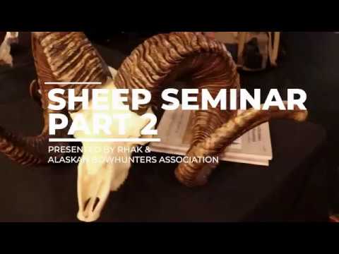 HOW TO JUDGE LEGAL RAMS! How to Hunt Dall Sheep in Alaska, & Where to