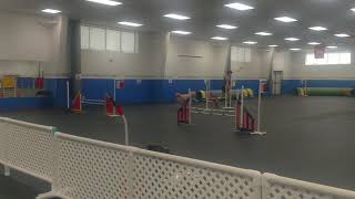 CPE level 3 snooker 8/9/20Q