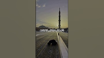 #تلاوة_خاشعة #ماهر_المعيقلي #اكسبلور #المصحف #quran #لايك #اجر_لي_ولك #راحة_نفسية