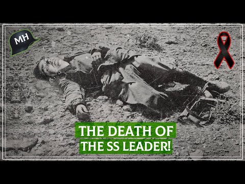 Himmler: What Were The Last Days Of The Ss Leader's Life Like