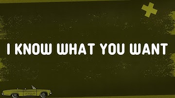 Thumbnail of Busta Rhymes, Mariah Carey - I Know What You Want (Lyrics) Ft. Flipmode Squad