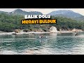 5 Adalarda Balıkları Bulduk ve Yakaladık! @BalikveKeyif
