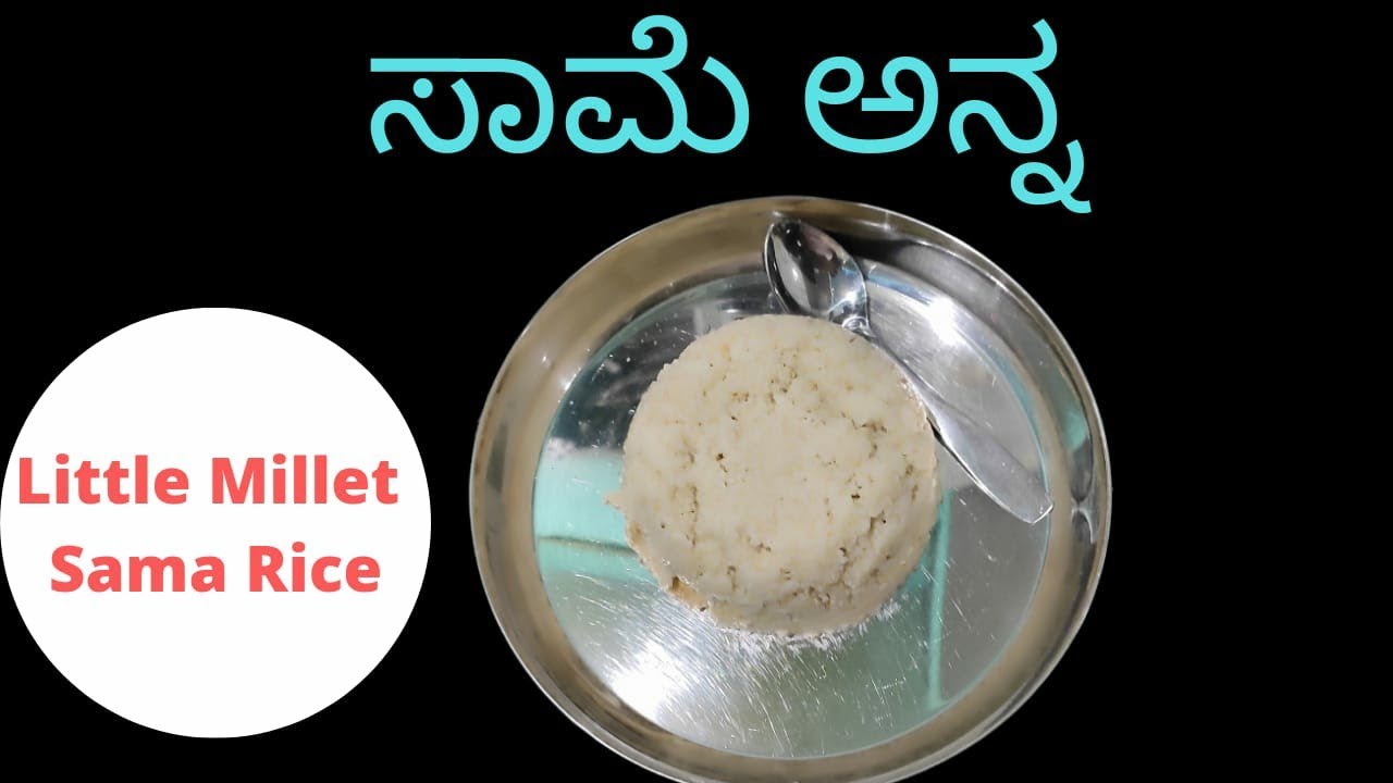 Samkya Rice Samai rice ಸಾಮೆ ಅಕ್ಕಿ ಅನ್ನ Weight Loss Rice& Good for Diabetes - YouTube