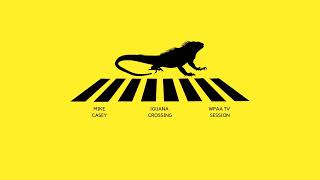 Mike Casey - Iguana Crossing (WPAA TV Session) (2025)