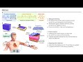 [저널 미팅] Fully organic compliant dry electrodes for long-term epidermal biopotential monitoring