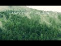 Relaxing Music & Soft Rain Sounds: Relaxing Piano Music, Sleep Music, Peaceful Music