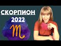 СКОРПИОН гороскоп на 2022 год: расклад таро Анны Ефремовой