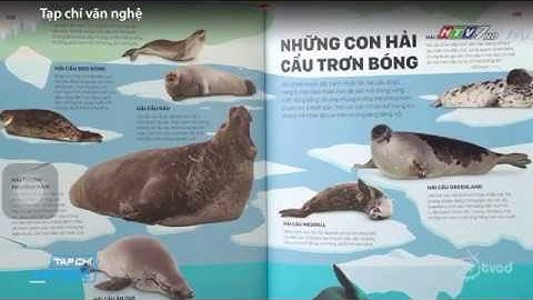 [HTV7] | Giúp con yêu và tôn trọng Trái Đất qua hai cuốn sách What a waste và Ice - Băng