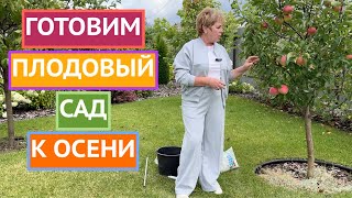 картинка: ВАЖНЫЕ ЭТАПЫ ПОДГОТОВКИ ПЛОДОВОГО САДА К ЗИМЕ!