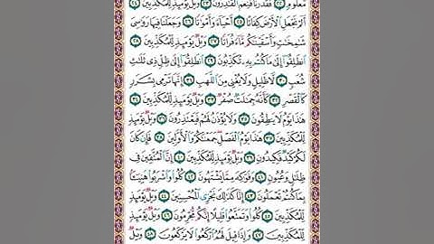 581   تلاوة الصفحة رقم 581  سورة المرسلات  ألم نخلقكم من ماء