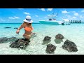 Hand Feeding HUGE SHARKS & STINGRAYS in The BAHAMAS - Bimini Fishing & Boating Contender Boats 39