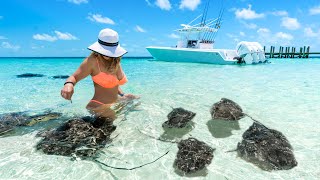 Bahamas Boating, Diving, Fishing & Hand Feeding SHARKS & STINGRAYS