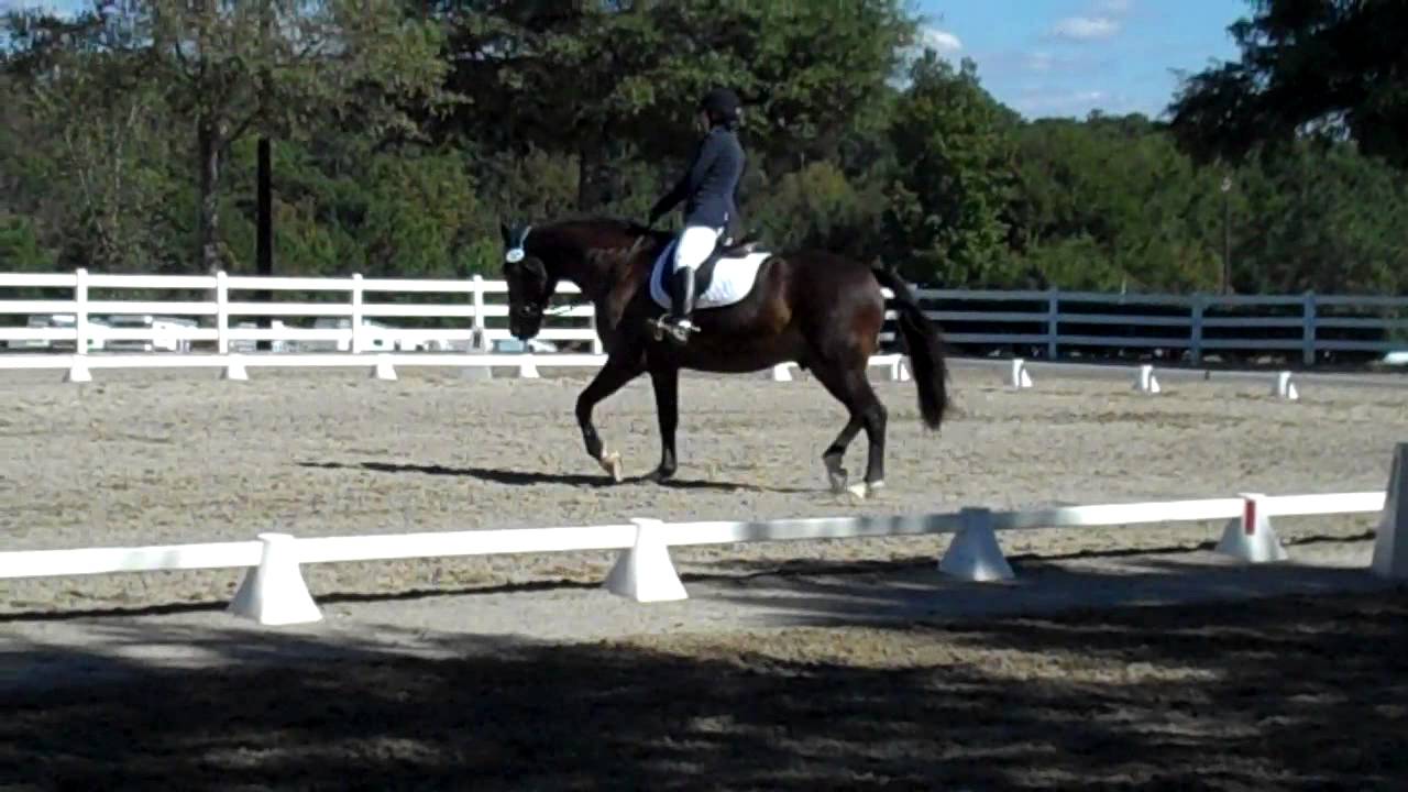 USDF Region 3 Dressage Championships. 1st Level. Susan Faulkner Evans