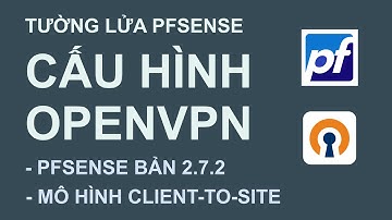 PFsense (2.7.2) : Cài đặt OPENVPN và thiết lập VPN dạng Client-To-Site | không tiếng
