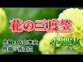 NO183.花の三度笠(小畑実)