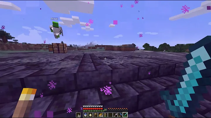 Dream SMP Ep. 9