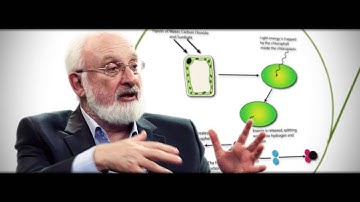 Global Human Interdependence | CrossroadsFilm.com