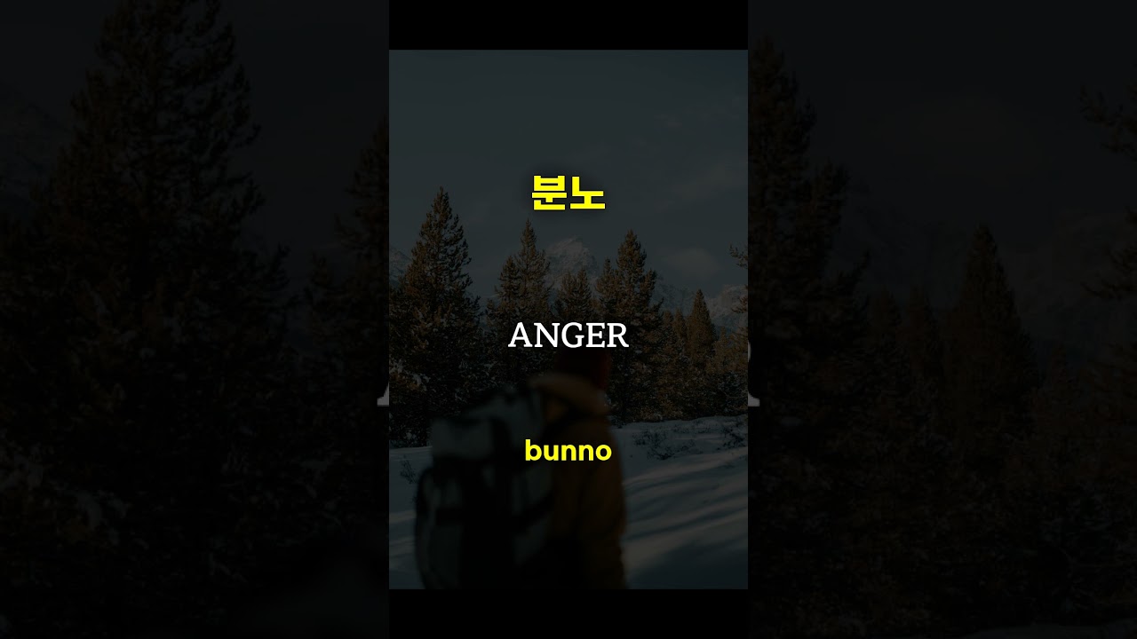 How to Say THOUGHT, PAINTING, SOCCER, ANGER, WAKE UP in Korean - LEARN KOREAN 