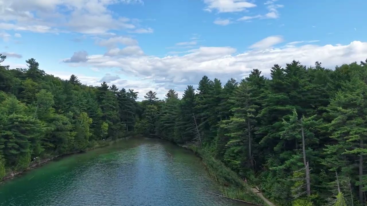 4K Drone View of Forest Lake • Peaceful Nature & Relaxing Music