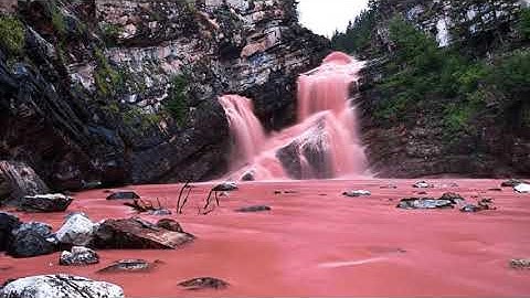 سورة القصص والعنكبوت للشيخ محمود خليل الحصري SURAH Al Qasas Ankaboot sheikh Mahmoud Khalil Al Husary