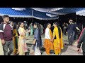 Pangi kutha marriage dance