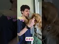 #dog #funny #pets #funnydog #funnypet