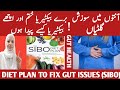 Cure sibo in 2 weeks bloating  belly pain gone weight loss diet plan gut health special listen