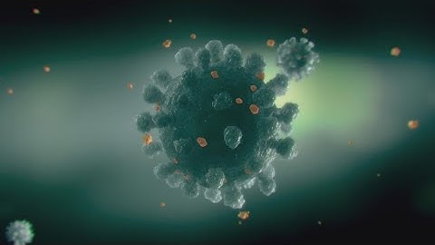 OhioHealth official answers questions about the newly emerging omicron variant