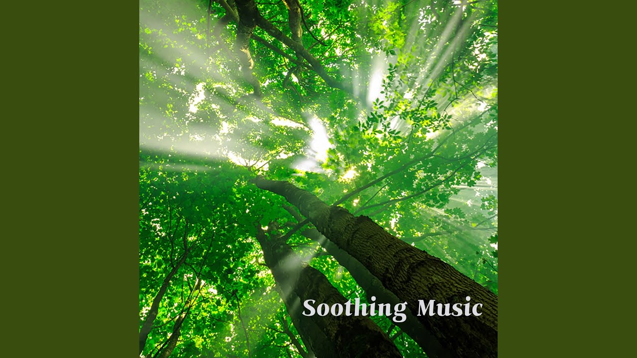 Sleduj 모차르트 : 아베 베룸 코르푸스 (빗소리) na YouTube