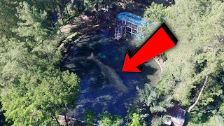 Dihuni Ikan Purba Jelmaan Dewa! Inilah Misteri Telaga Rambut Monte Di Blitar