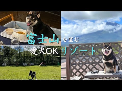 【山梨ペットと泊まれる宿】富士山＆山中湖を望む ペット可リゾートホテル！【Wan's Resort　山中湖】