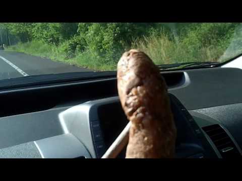 POOP on a STICK