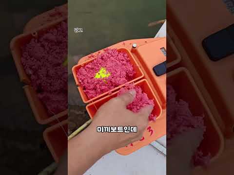 미끼는 이렇게 뿌리는게 맞다 thumbnail