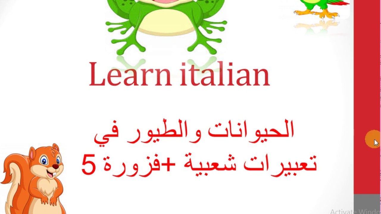 كلام شوارع  إيطاليا:جزء2.الحيوانات في التعبيرات الشعبية+ فزورة 5
