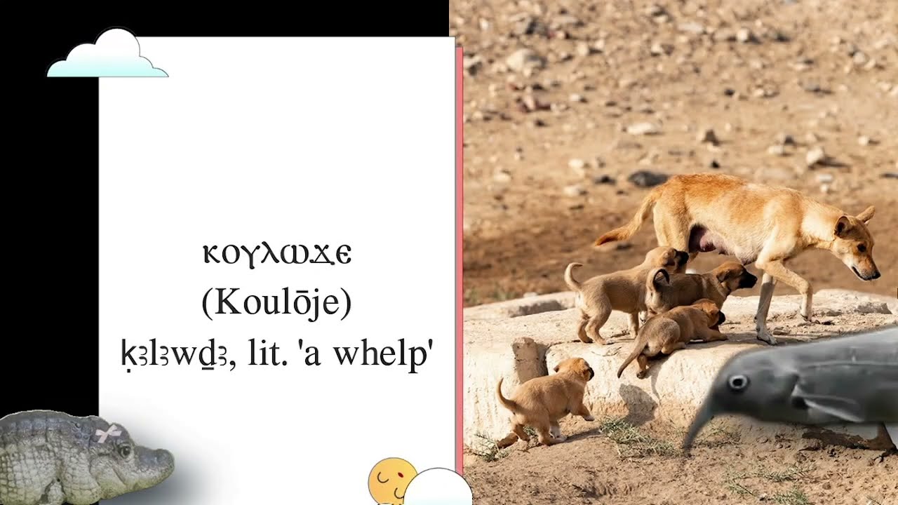 Egyptian Female Names