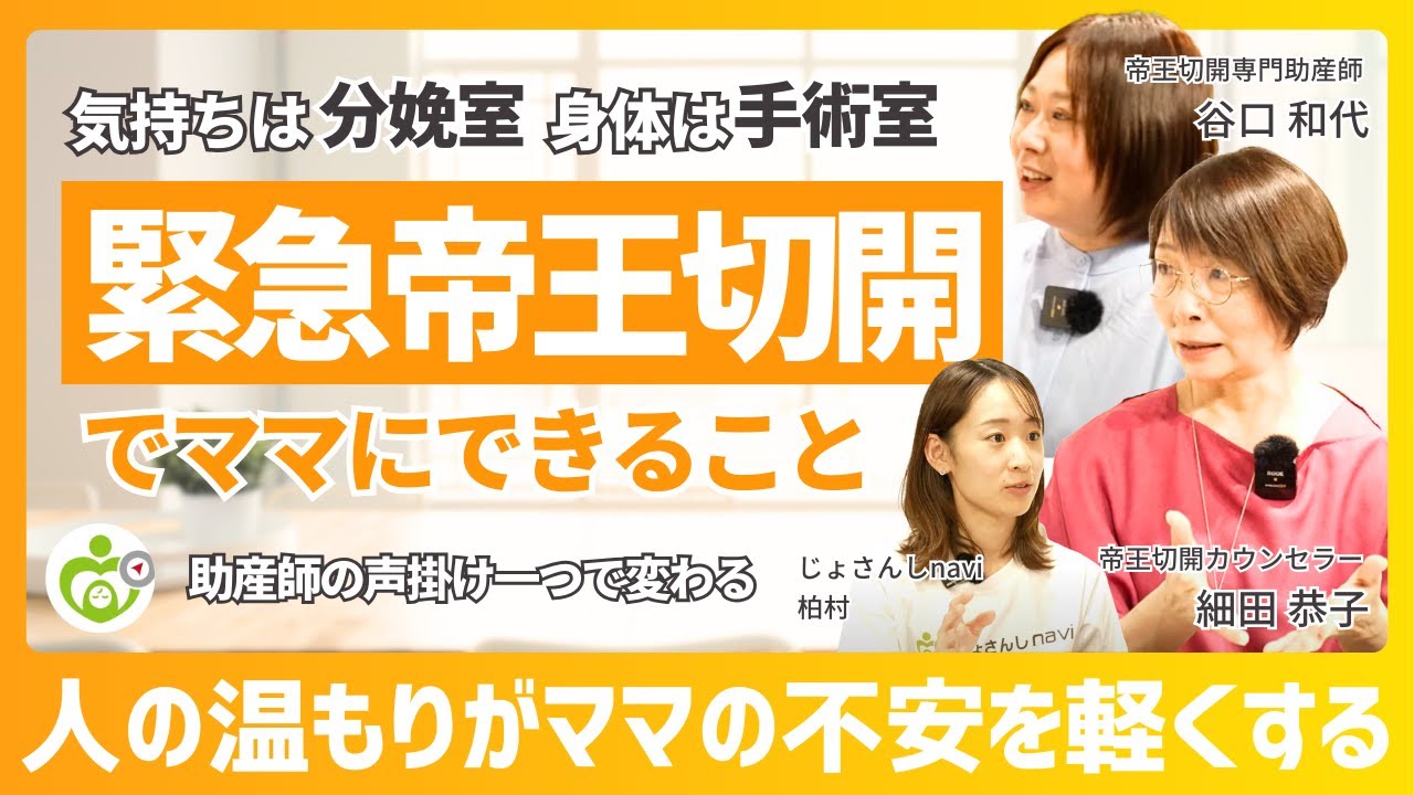 助産師　助産学生　実習国家試験対策味方セット　解剖帝王切開　フィジカル　事前学習 助産師 助産学生 実習国家試験対策味方セット 解剖帝王切開 助産師