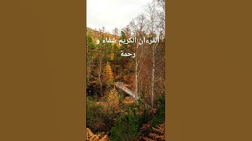 تلاوة من القرءان الكريم تريح النفس و تثلج القلب #المصحف #اكسبلور #quran #الرحمن #دويتو #راحة_نفسية