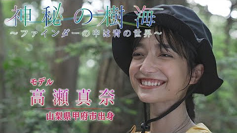 Ybs山梨放送 公式チャンネル Youtube