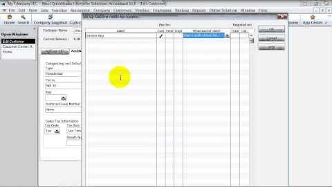 QuickBooks Training - Custom Fields on Invoices -- Customer Custom Field