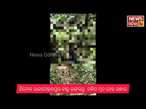 ହିନ୍ଦୋଳ ରାଜମୋହନପୁର କାଜୁ ଜଙ୍ଗଲରୁ  ଗଳିତ ମୃତ ଦେହ ଉଦ୍ଧାର। News Odisha tv 