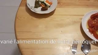 Gabon Gary Perrot Feeding