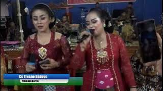 Cs Tresno Budoyo, Ngunduh mantu Bg Arifin  & Galuh dk mandungan