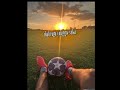 marvelkwontolkwontol channel ku ya gw bebas mau upload video apa