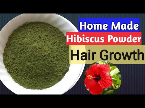 Hibiscus 🌺 powder Recipe | Hair Growth Hibiscus Leaf powder - YouTube