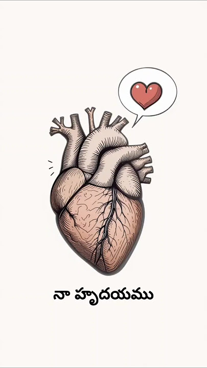 'Straight From the Heart to Heaven' #heart #sin #heaven #god #love #proud #godytshorts